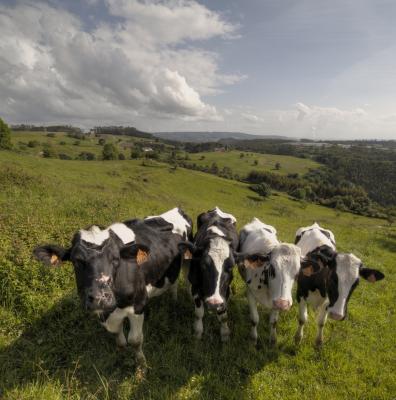 Прикрепленное изображение: MG9A6252_3_4_Enhancer_w1.jpg